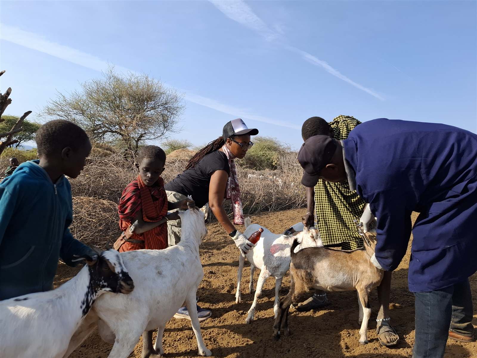 Veterinary care and animal health management