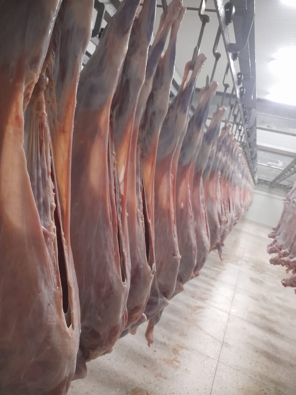 img 20260212 wa0021.jpg